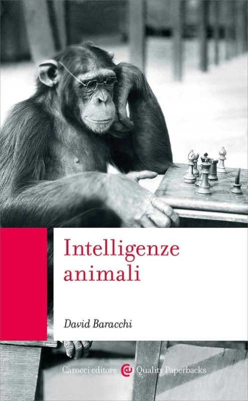 libreriacortinamilano-1202606221118141684496