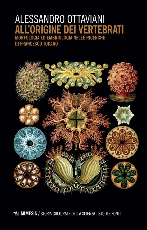 libreriacortinamilano-1202606221124021685773
