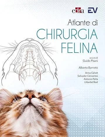 libreriacortinamilano-1202606221957081792491