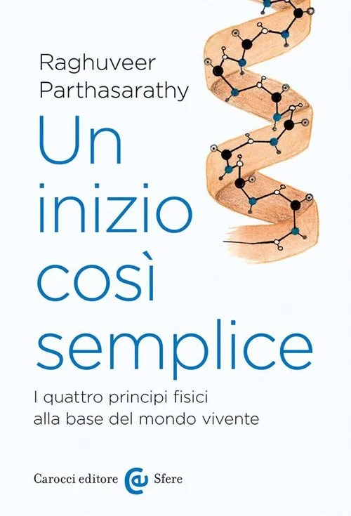 libreriacortinamilano-1202606222237221827136
