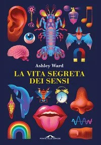 libreriacortinamilano-1202606222322591837685
