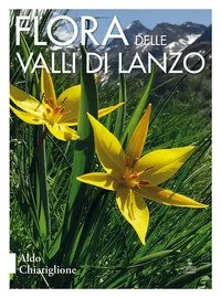 libreriacortinamilano-1202606230238131880881