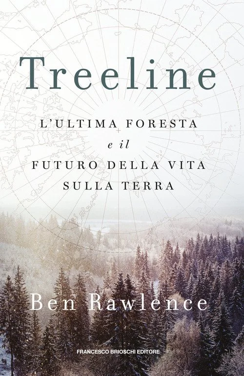 libreriacortinamilano-1202606230521081916386