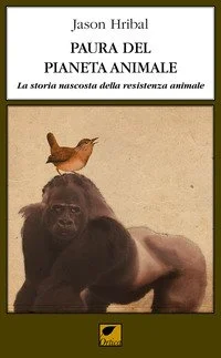 libreriacortinamilano-1202606230624411928844