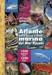libreriacortinamilano-1202606231021111975836