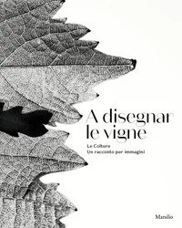 libreriacortinamilano-1202606231118031989180
