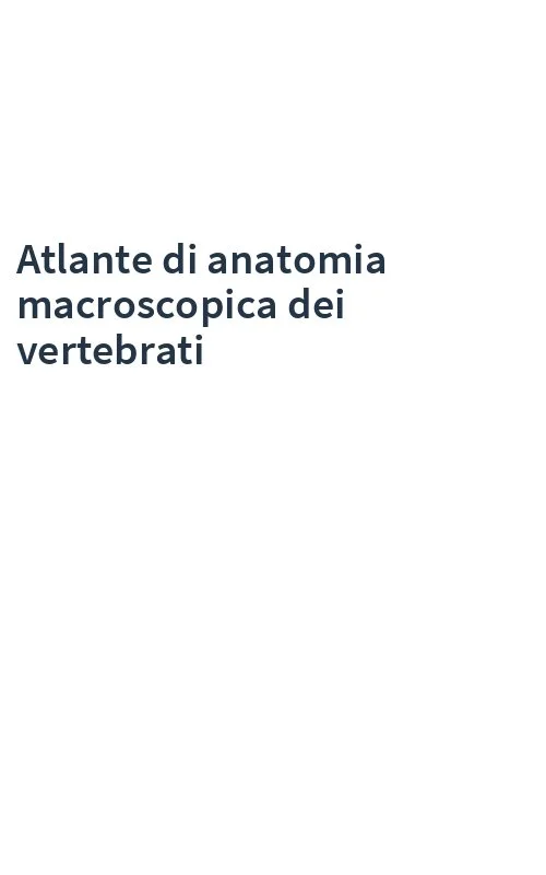 libreriacortinamilano-3202606240854222267040