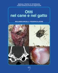 libreriacortinamilano-3202606240928232273168