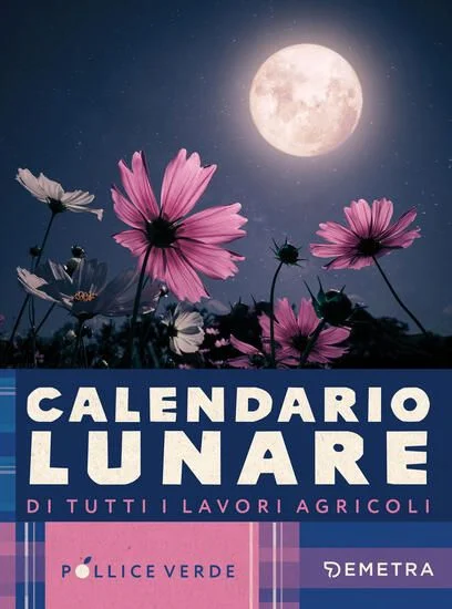 libreriadantealighieri-1202606221210371696234
