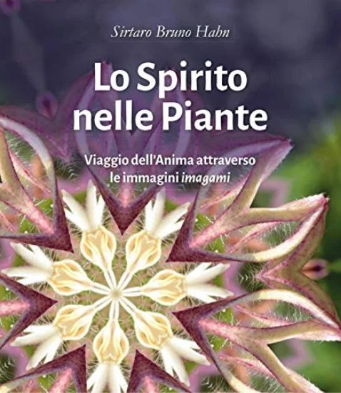 libreriadantealighieri-1202606222232421826184