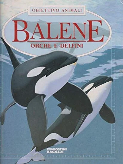 libreriadantealighieri-1202606230417281902193